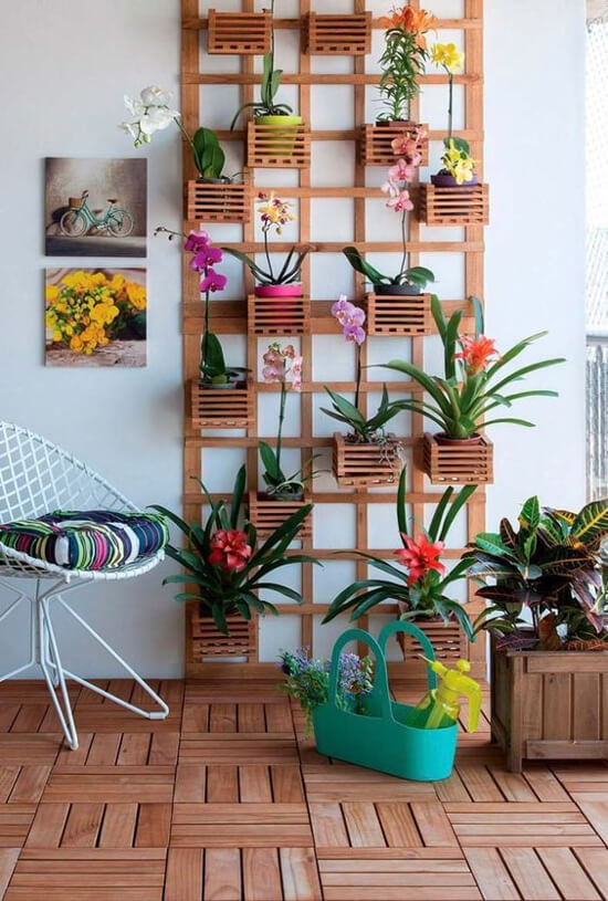 Plantas Pendentes: Um Toque Boêmio e Aconchegante - inspiração 2