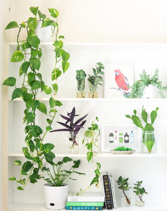 Cantinhos de Leitura com Plantas: Relaxamento e Inspiração - inspiração 2