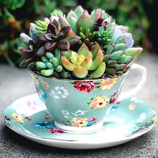 Releitura Vintage: Revitalize Bules e Xícaras Antigas - inspiração 3