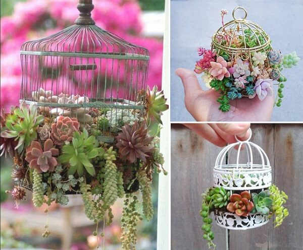 Gaiolas como Porta-Retratos: Memórias em Exibição Charmosa - inspiração 1