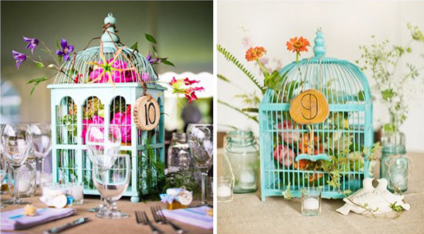 Cuidados Essenciais para Conservar Suas Gaiolas - inspiração 1