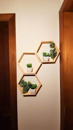 Cachepots Rústicos: Destaque Suas Plantinhas - inspiração 1