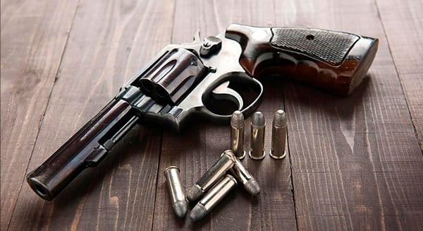 Estatuto do Desarmamento: O que Mudou e o Que Permanece em 2026 - inspiração 1