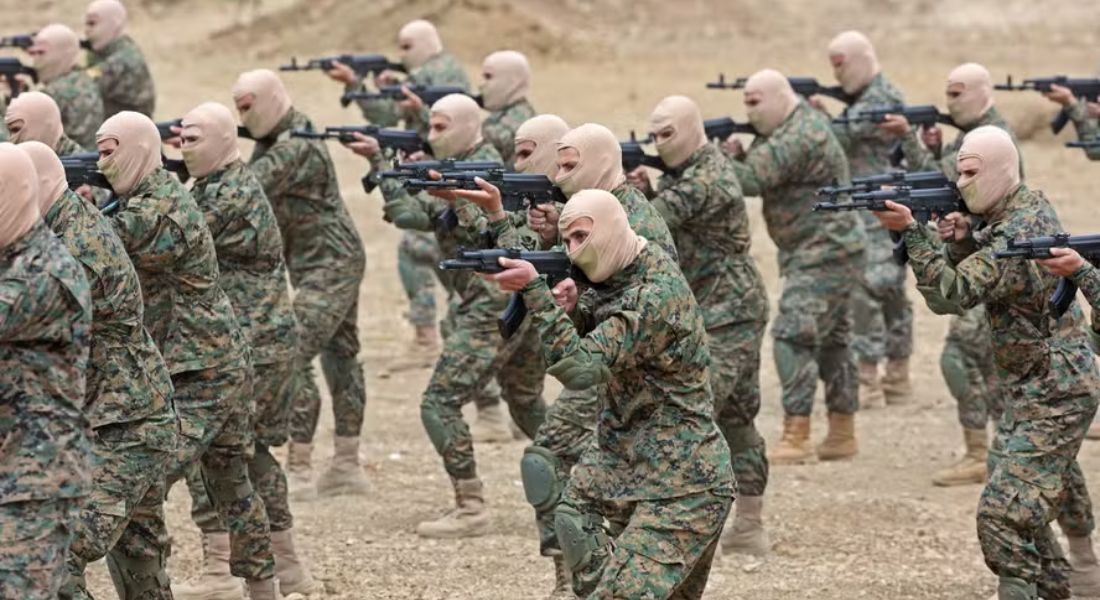 O Impacto da Flexibilização das Leis (2019-2022): Um Balanço - inspiração 3