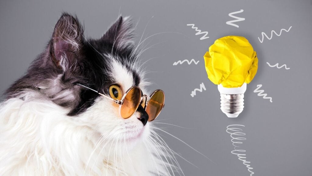 Revise Constantemente Suas Escolhas de Leitura - inspiração 3