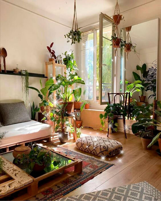 Plantas: Vida e Purificação no seu Lar - inspiração 1