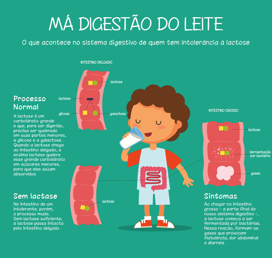 Gases e Inchaço: Mais do que um Incômodo - inspiração 3