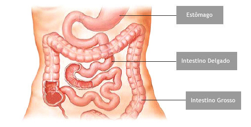 Sintomas em Adultos: Variações e Intensidade - inspiração 1