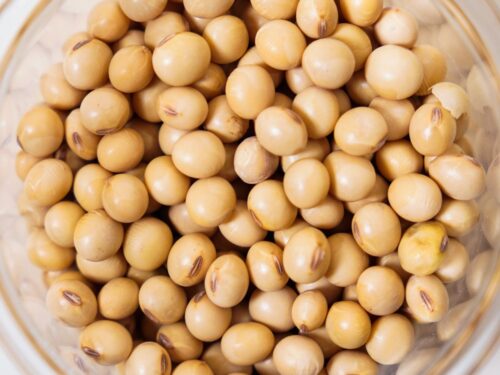 Alternativas ao leite de vaca: Por que o leite de soja se destaca? - inspiração 1