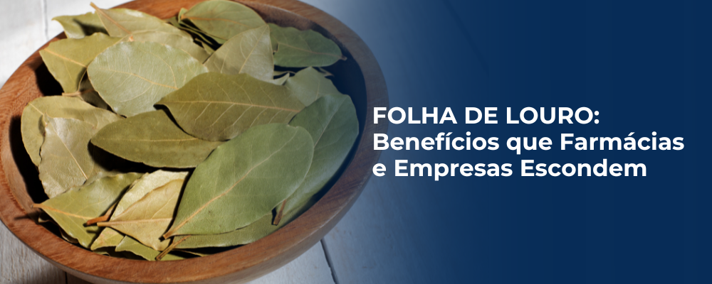 Louro como um Potencializador de Sabor em Pratos do Dia a Dia - inspiração 2