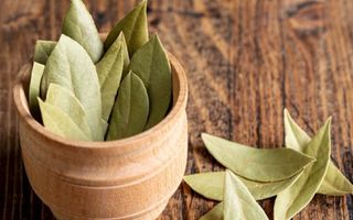 Louro no Combate à Inflamação: Um Aliado Natural - inspiração 1