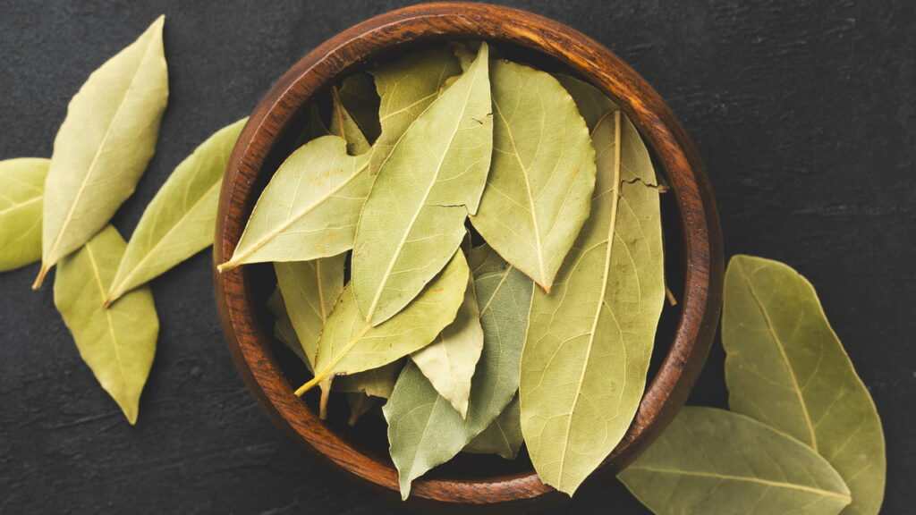 Louro como Fonte de Nutrientes Essenciais para o Corpo - inspiração 2