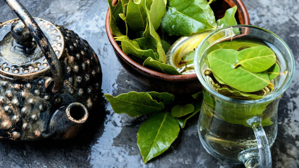 Louro no Alívio de Dores: Uma Alternativa para o Conforto Muscular - inspiração 1