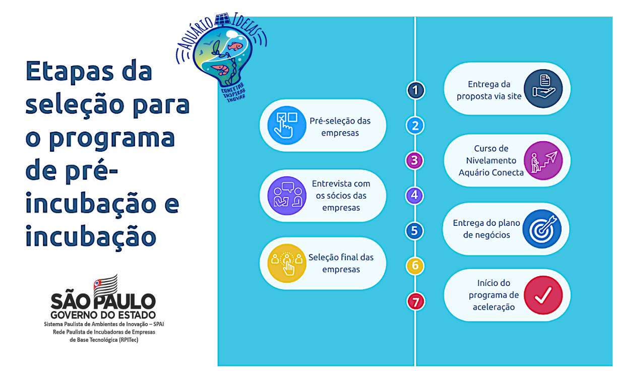 O papel do Vesting na Atração de Investidores - inspiração 2