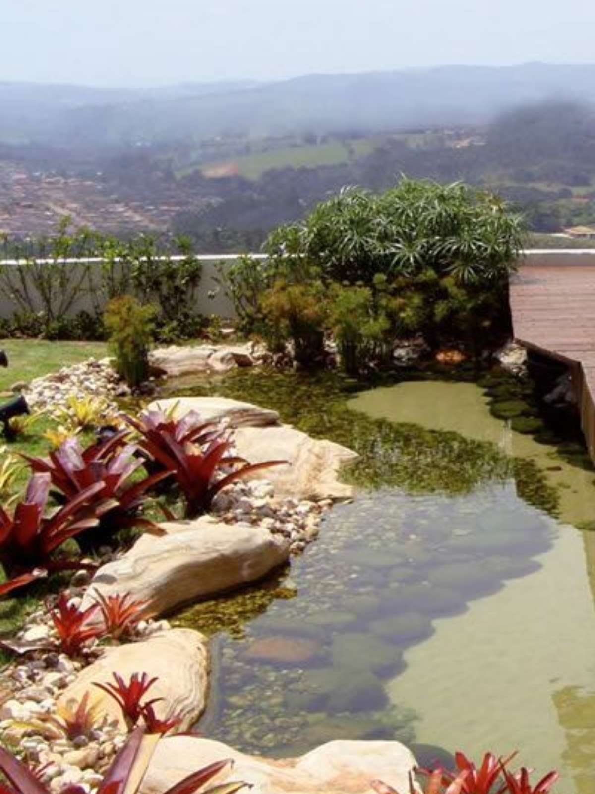 Termostato e Temperatura Ideal: Conforto Térmico para Seus Bichinhos - inspiração 1