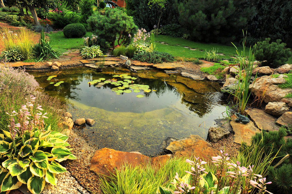 Termostato e Temperatura Ideal: Conforto Térmico para Seus Bichinhos - inspiração 2