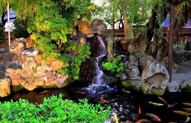 Substrato: A Base do Seu Ecossistema Aquático - inspiração 3