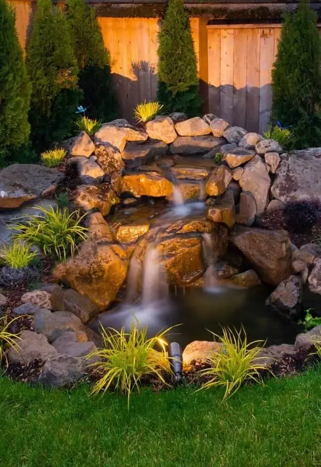 Ciclagem do Aquário: O Segredo para um Ambiente Livre de Amônia - inspiração 2