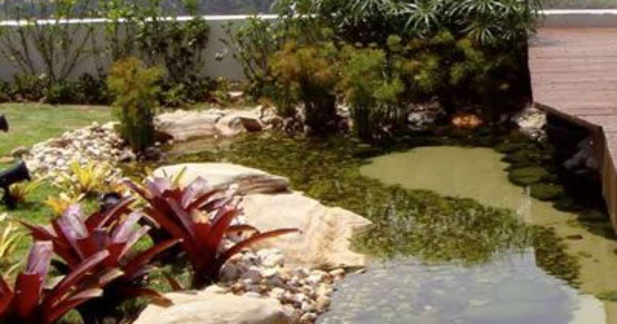 Alimentação Consciente: Evite Exageros e Mantenha a Qualidade - inspiração 1