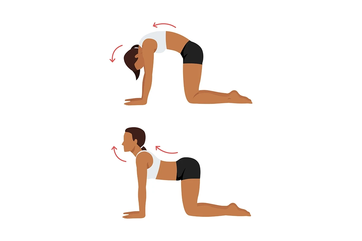 Dica 1: Fortaleça o Core Profundo - inspiração 2