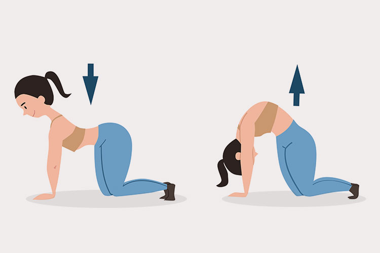 Dica 3: Use o Movimento do Gato (Cat-Cow) Para Mobilidade - inspiração 3