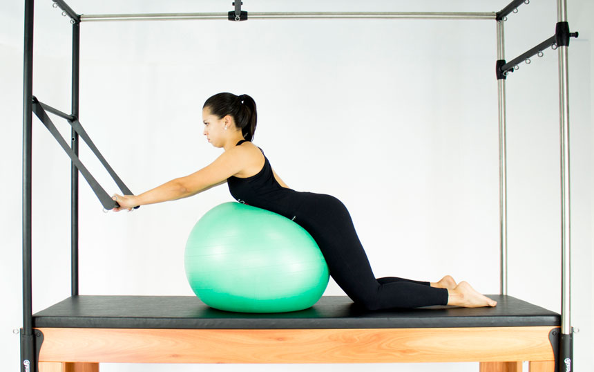 Dica 5: Domine a Prancha Isométrica Para Suporte - inspiração 1