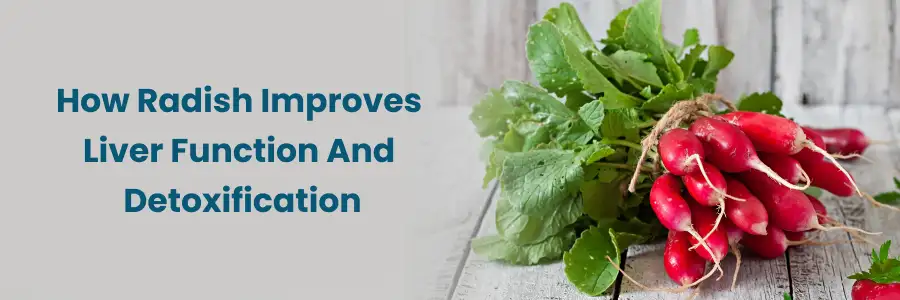 Ativando Suas Enzimas Hepáticas com Rabanete - inspiração 1