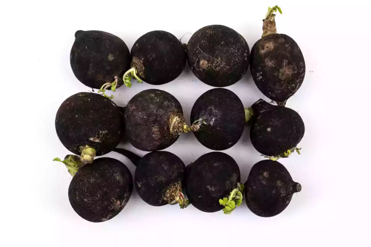 Estimulando a Produção de Bile para Digestão e Função Hepática - inspiração 2