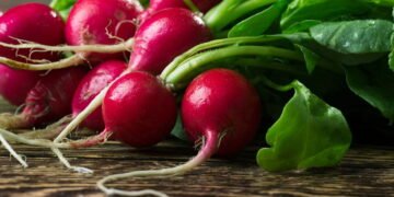 Rabanete: Um Suporte Nutricional Rico em Antioxidantes - inspiração 3