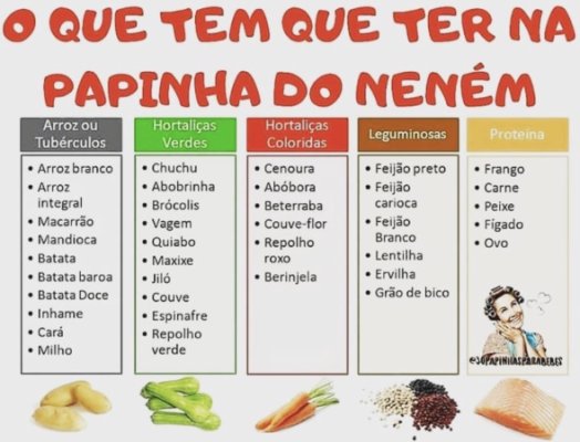 Papinha de Mamão Turbinada: Energia e Facilidade para Começar - inspiração 1