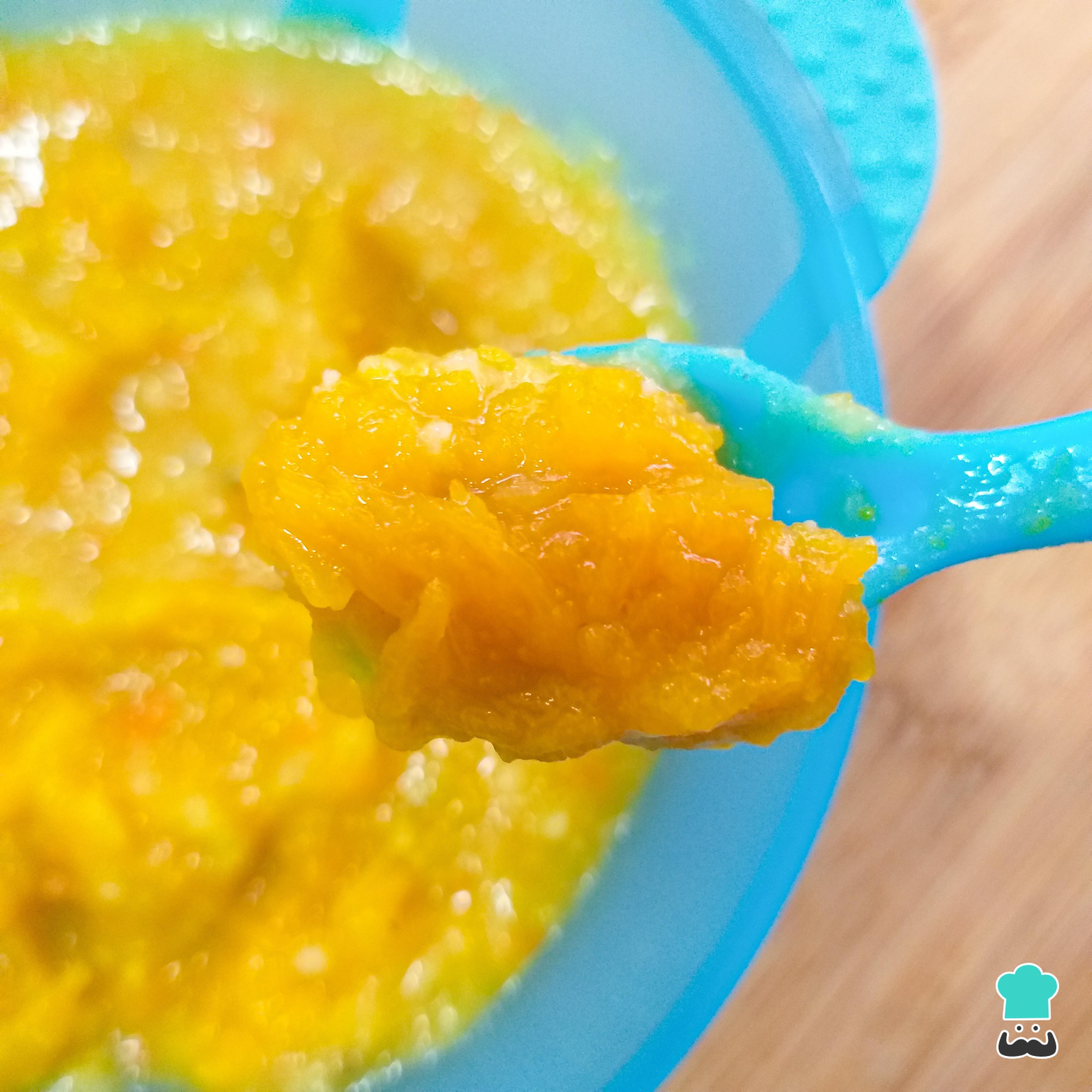 Papinha de Mamão Turbinada: Energia e Facilidade para Começar - inspiração 2