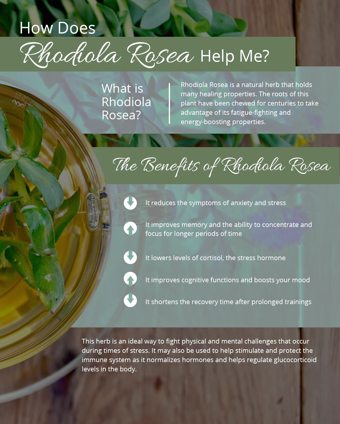 O Que é a Rhodiola Rosea e de Onde Ela Vem? - inspiração 3