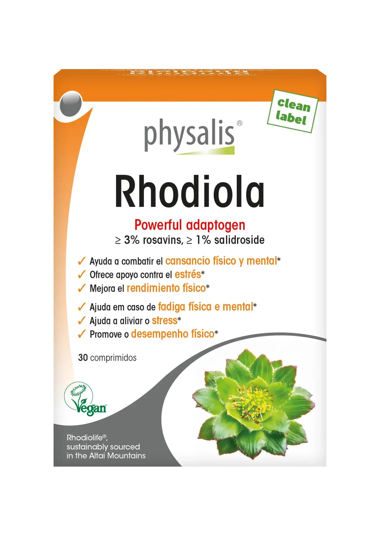 Entendendo a Ação da Rhodiola no Cérebro e no Corpo - inspiração 2