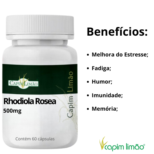 Entendendo a Ação da Rhodiola no Cérebro e no Corpo - inspiração 3