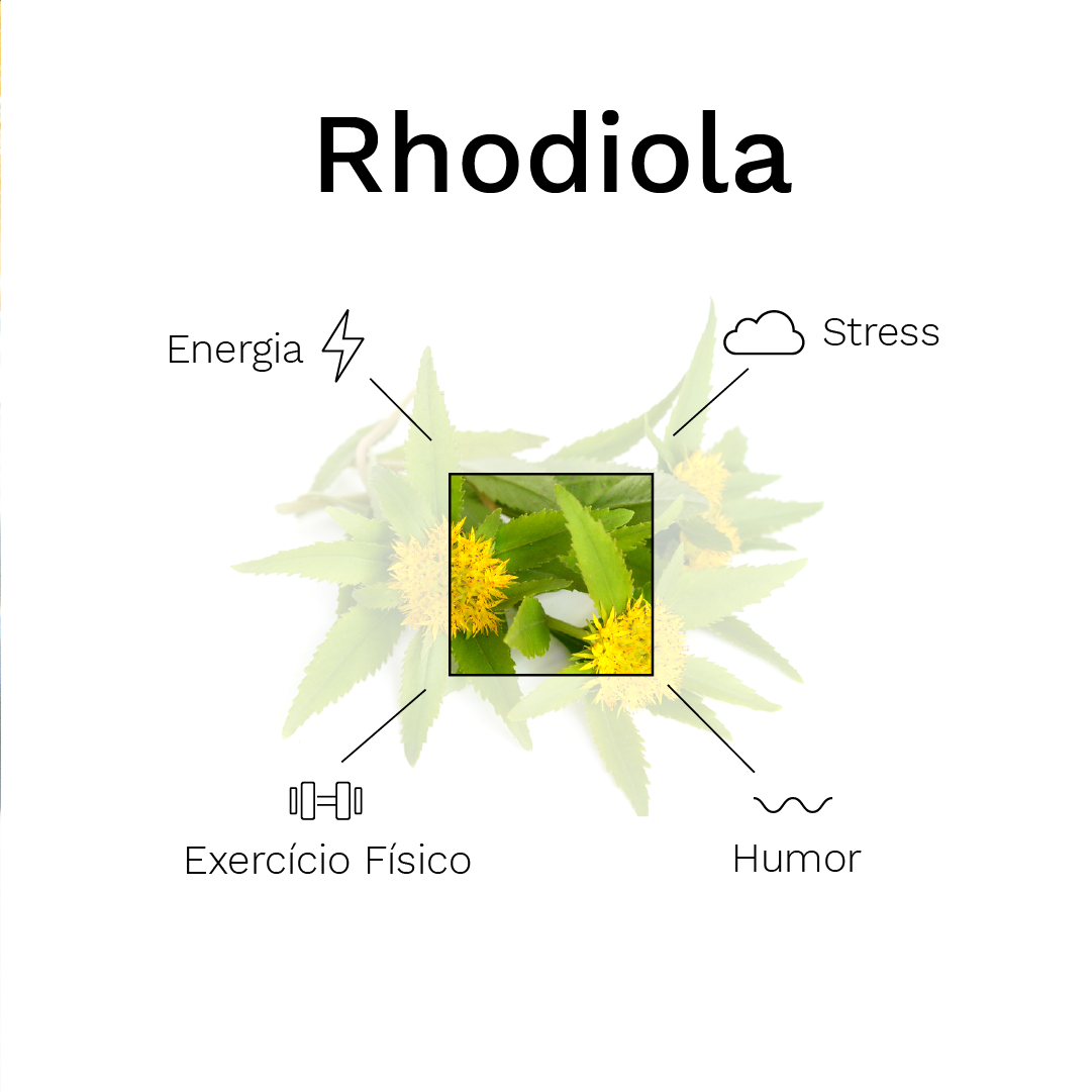 Melhorando a Memória e a Capacidade de Aprendizado com Rhodiola - inspiração 3