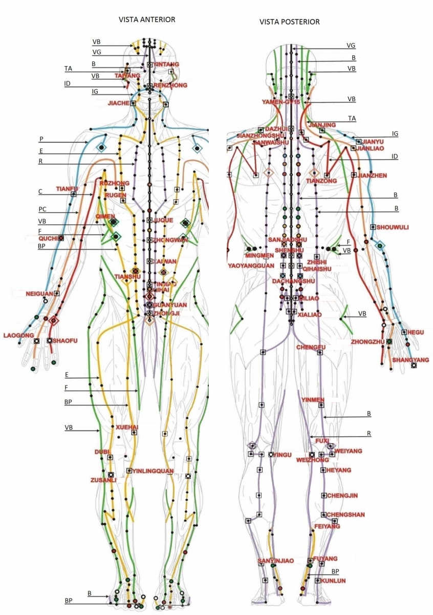 Acupressão em Casa: Sequência Simples para Dores de Cabeça Tensionais - inspiração 2