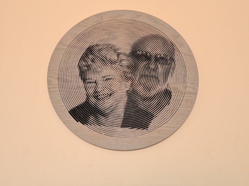 A Cor Certa: Explorando Paletas Para Seu Spiral Betty - inspiração 1