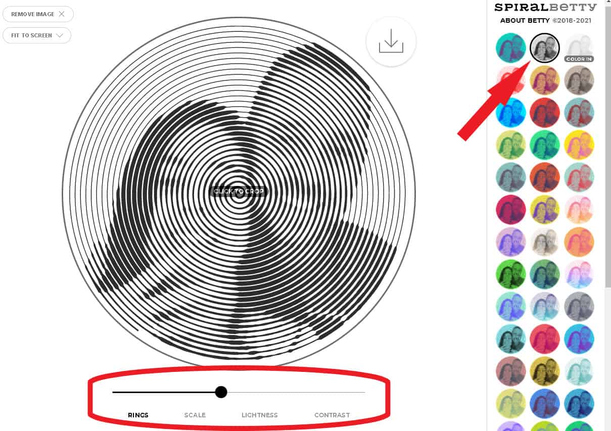 A Cor Certa: Explorando Paletas Para Seu Spiral Betty - inspiração 2