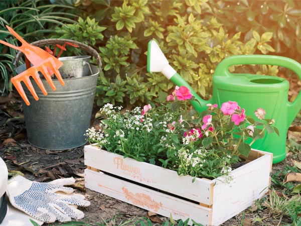 Compras a Granel: Menos Embalagem, Mais Economia - inspiração 3