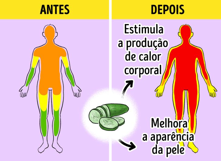 Sementes de Chia e Linhaça: Fibras Aliadas - inspiração 1