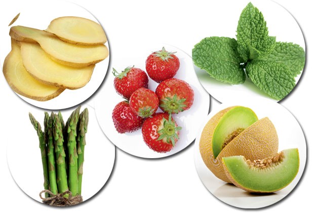 Chá Verde: Metabolismo em Dia - inspiração 2