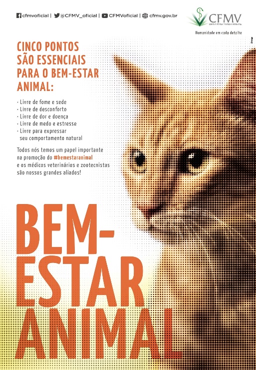 Alimentação de Qualidade: O Pilar da Saúde - inspiração 2