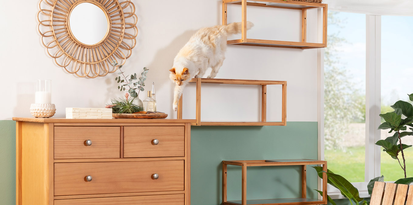 Hidratação Constante: Água Fresca é Essencial - inspiração 1