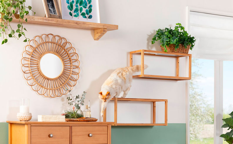 Hidratação Constante: Água Fresca é Essencial - inspiração 2