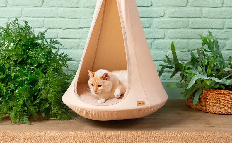 Exercícios Físicos: Movimento que Transforma Vidas - inspiração 1