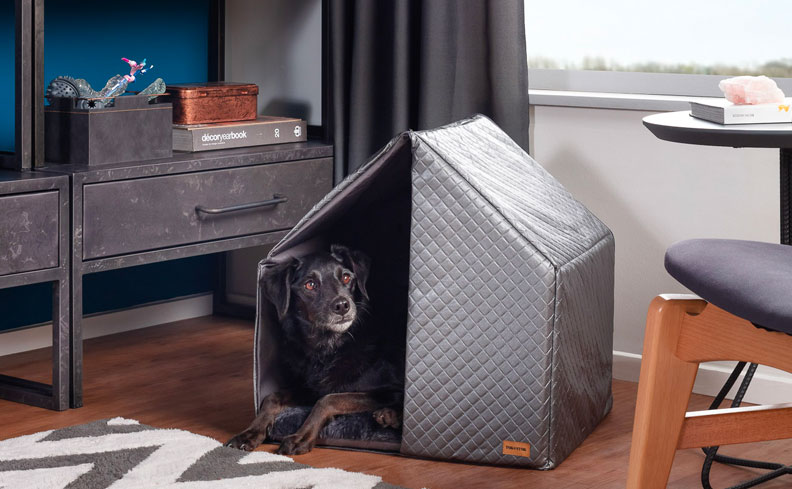 Exercícios Físicos: Movimento que Transforma Vidas - inspiração 2