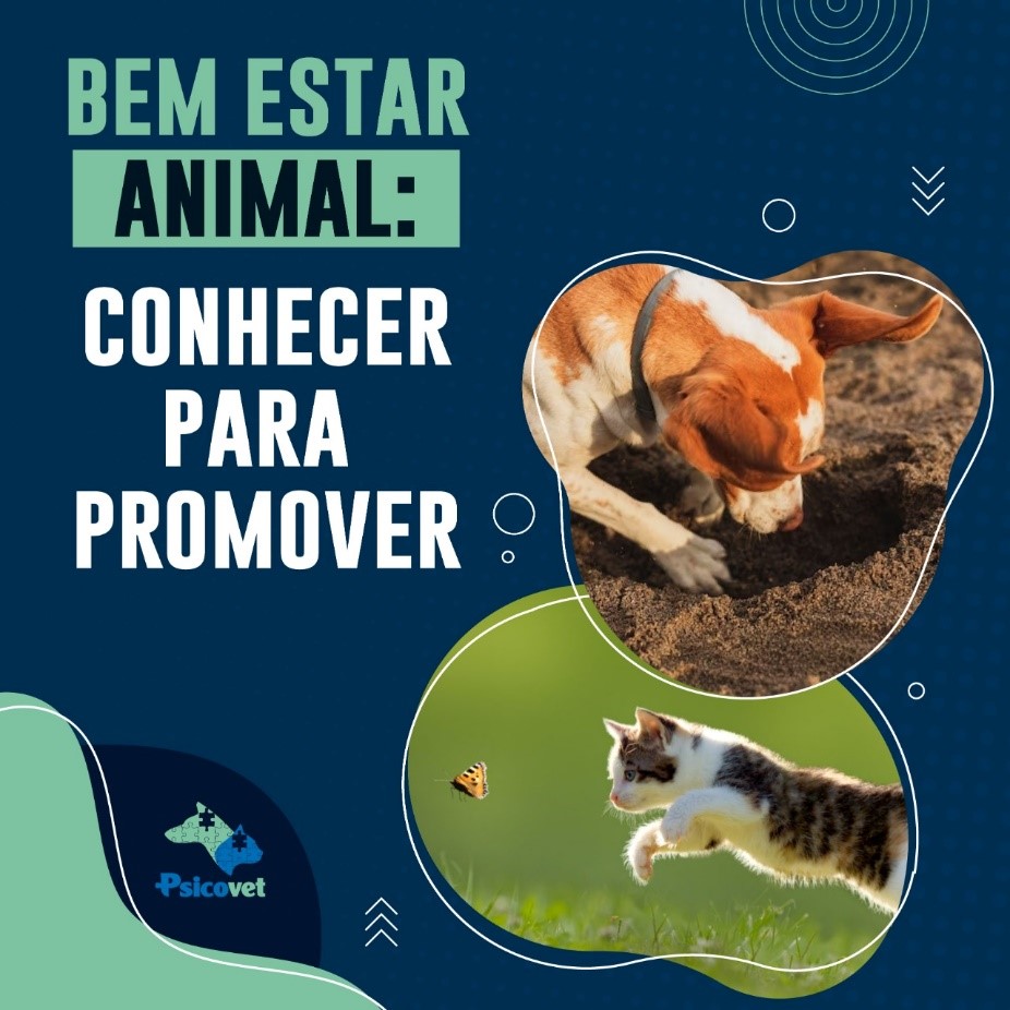 Higiene Impecável: Prevenção e Conforto - inspiração 2