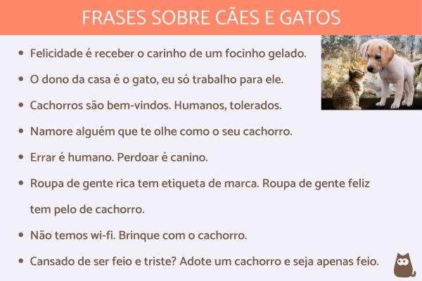 Visitas Regulares ao Veterinário: Saúde em Primeiro Lugar - inspiração 1