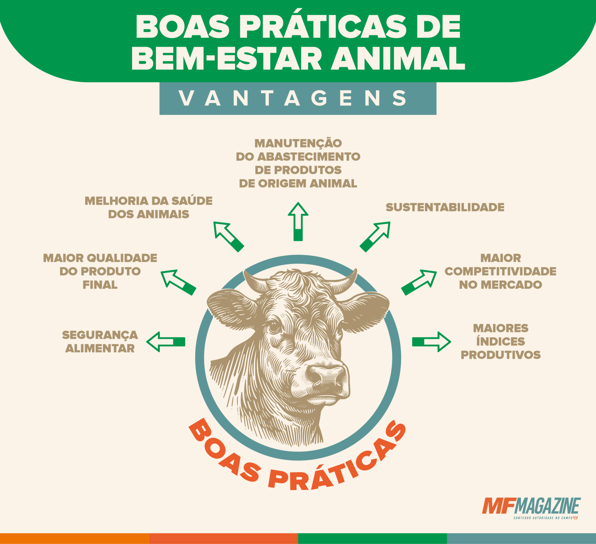 Enriquecimento Ambiental: Mentes Ativas, Pets Felizes - inspiração 2