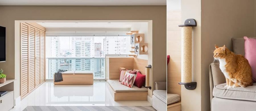 Atenção aos Sinais: Entendendo a Linguagem do Seu Pet - inspiração 2